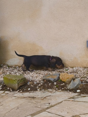 AFTER ALL - violette